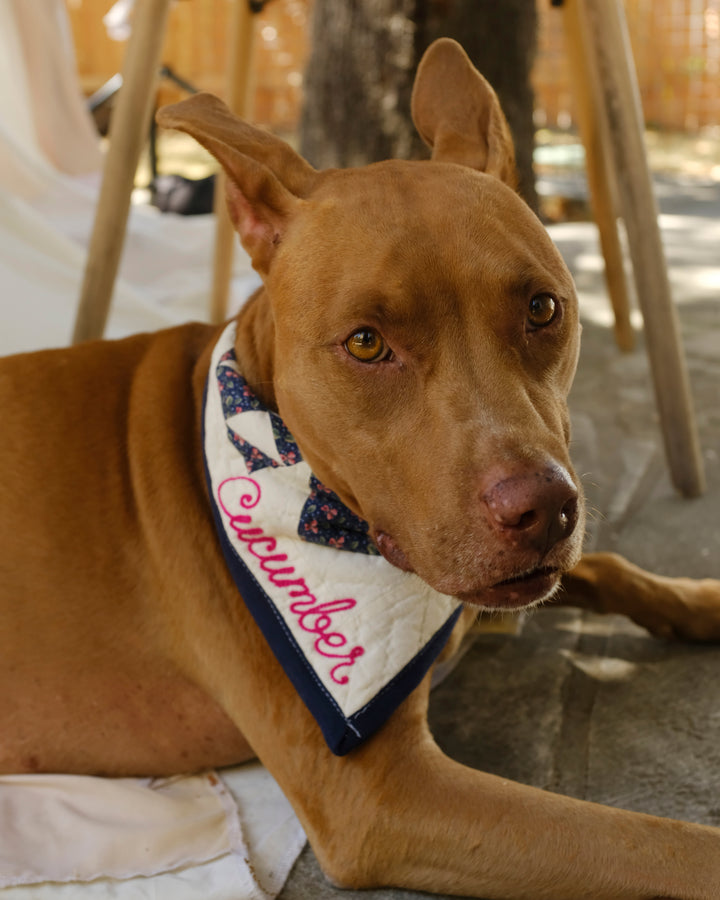 Upcycle Your Scraps - Pet Bandana